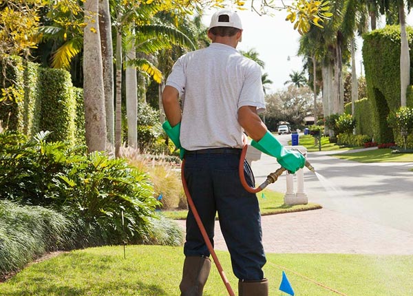 About Mequon WI Pest Control